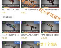 暴躁老阿姨 CSGO 新手技巧之必备指南