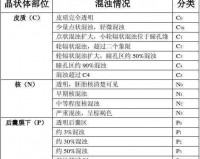 存活的方法是挨 CNP：免费阅读，带你探索未知世界