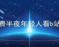 不收费半夜年轻人看 B 站软件：全新体验等你来