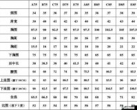 欧洲尺码日本尺码专线中老年服装专卖