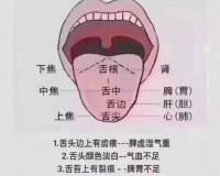 往下面放什么像舌头的东西：探寻未知之谜