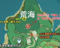 原神荒海雷方块怎么解谜原神荒海雷方块解谜攻略