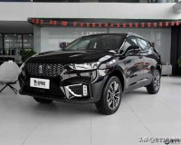 weyvv5 国产的 SUV：魅力无限的出行伙伴