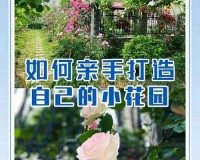 男子肯亲花园说明什么：背后的深意探究