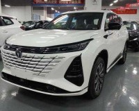 国产 SUV 精品一区二区 6：优质车型推荐