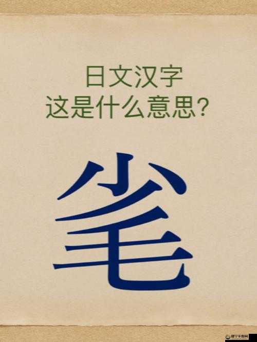 这不是汉字阳找到13个字攻略分享