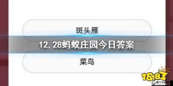 蚂蚁庄园那种鸟类飞行高度可以逾越珠穆朗玛峰 12月28日每日题答案