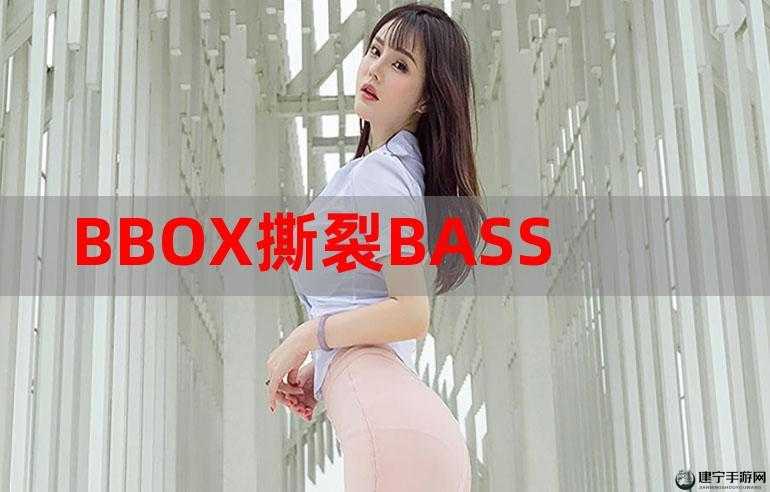 bbox 撕裂 bass 俄罗斯百度云在线播放：超燃节奏