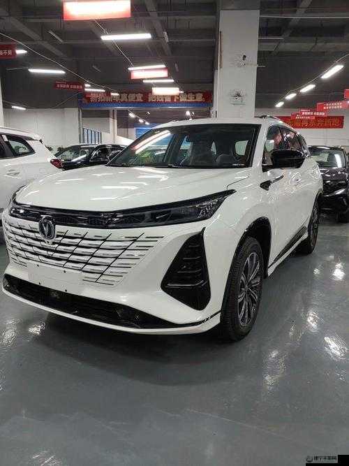 国产 SUV 精品一区二区 6：优质车型推荐