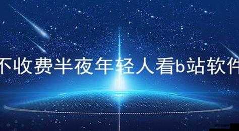 不收费半夜年轻人看 B 站软件：全新体验等你来