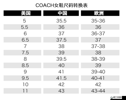 四叶草M码和欧洲码的888区别之深度解析