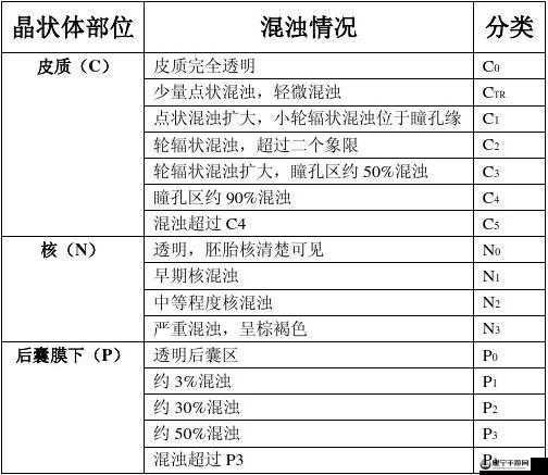 存活的方法是挨 CNP：免费阅读，带你探索未知世界