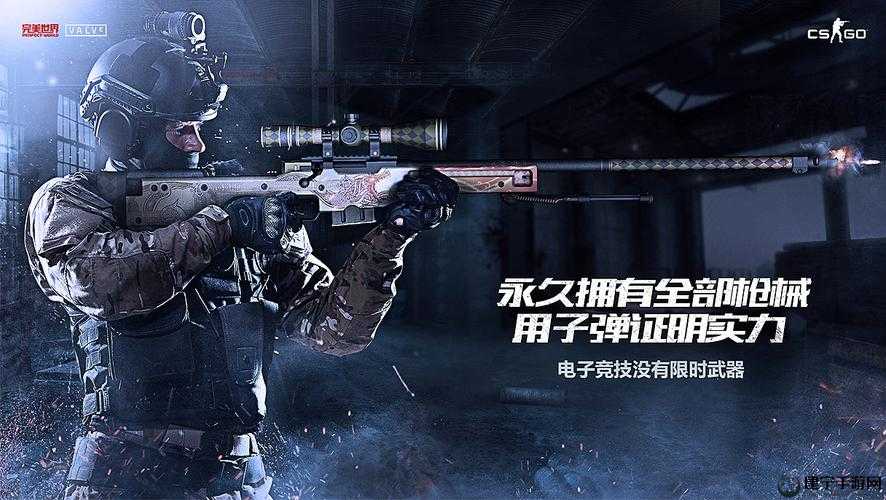 CSGO 暴躁妹妹与 LOGO 对比：独特视觉冲击