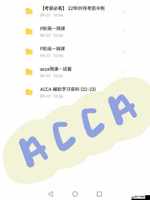 ACCA 少女网课视频：高效学习指南