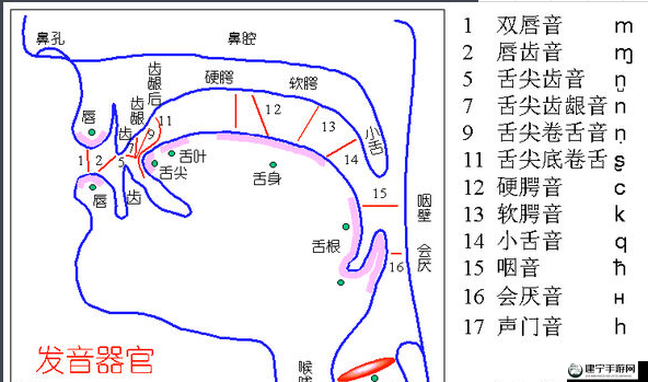 舌战玉门的技巧和方法：实战解析