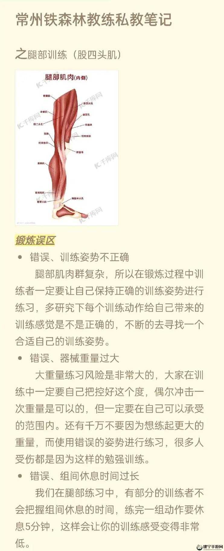 坐着轮流提双腿能起到什么效果：锻炼效果解析