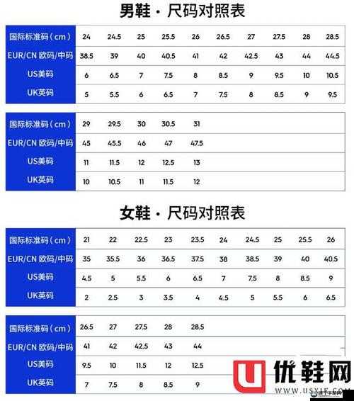 欧洲多尺码 3538：时尚新选择