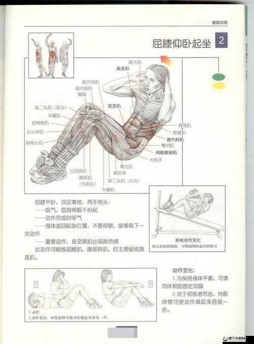 坐着轮流提双腿能起到什么效果：锻炼效果分析