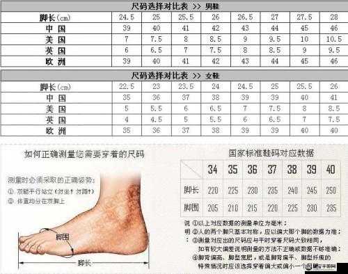 欧洲 S 码和亚洲 M 码的尺寸范围对比分析