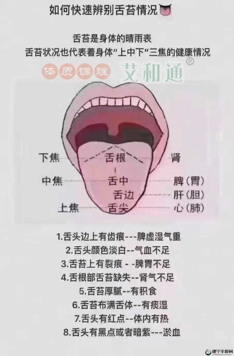 往下面放什么像舌头的东西：探寻未知之谜