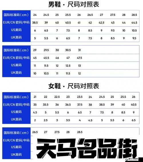 欧洲码日本码专线：品质与精准的象征