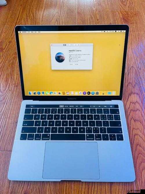 1819 岁 macbookpro 高清：青春专属的高效利器