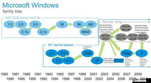 日本 WindowsServer 技术应用与发展前景