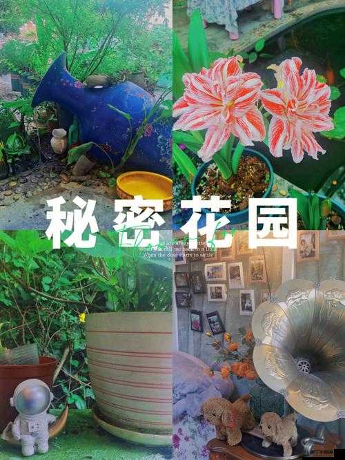 大手往哪秘密花园探去：探寻背后的故事