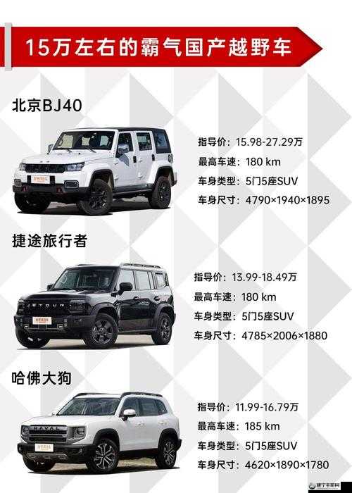 国产 SUV 精品一区二区四区三区：车型介绍