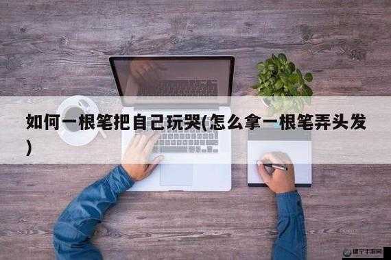 如何：用一根笔搞自己的秘密