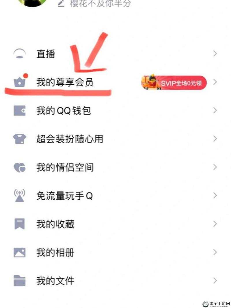 关于 QQ 漫画 VIP 图标点亮方式及开通所需费用的详细解读